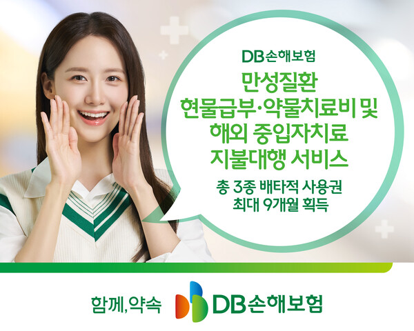 (사진 제공=DB손해보험)