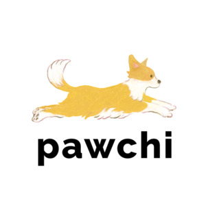 파우치보험준비법인 폐업 절차...소액단기보험사 장벽 여전 - 뉴스 썸네일 이미지