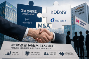 예별손보·KDB생명 동시 흥행...보험업권 M&A 다시 후끈 - 뉴스 썸네일 이미지