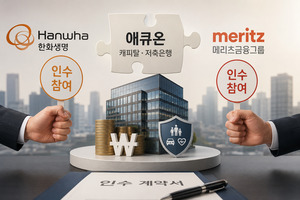 한화생명·메리츠, 애큐온 인수전 맞붙었다...보험사 비은행 확장 경쟁 ... - 뉴스 썸네일 이미지